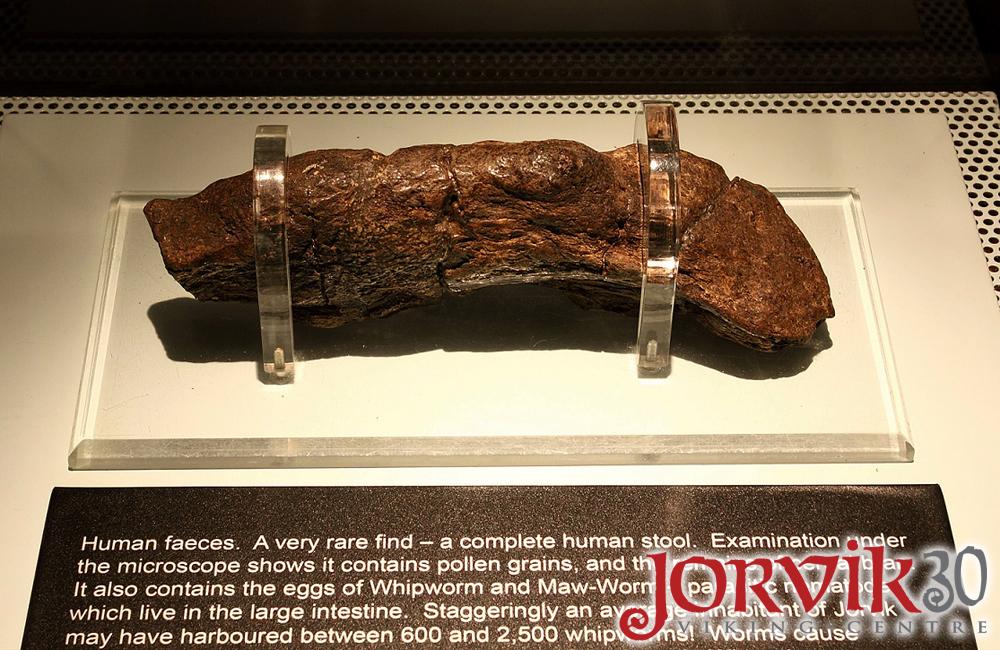 Irish Archaeology on Twitter "Viking poo..JorvikViking One of our