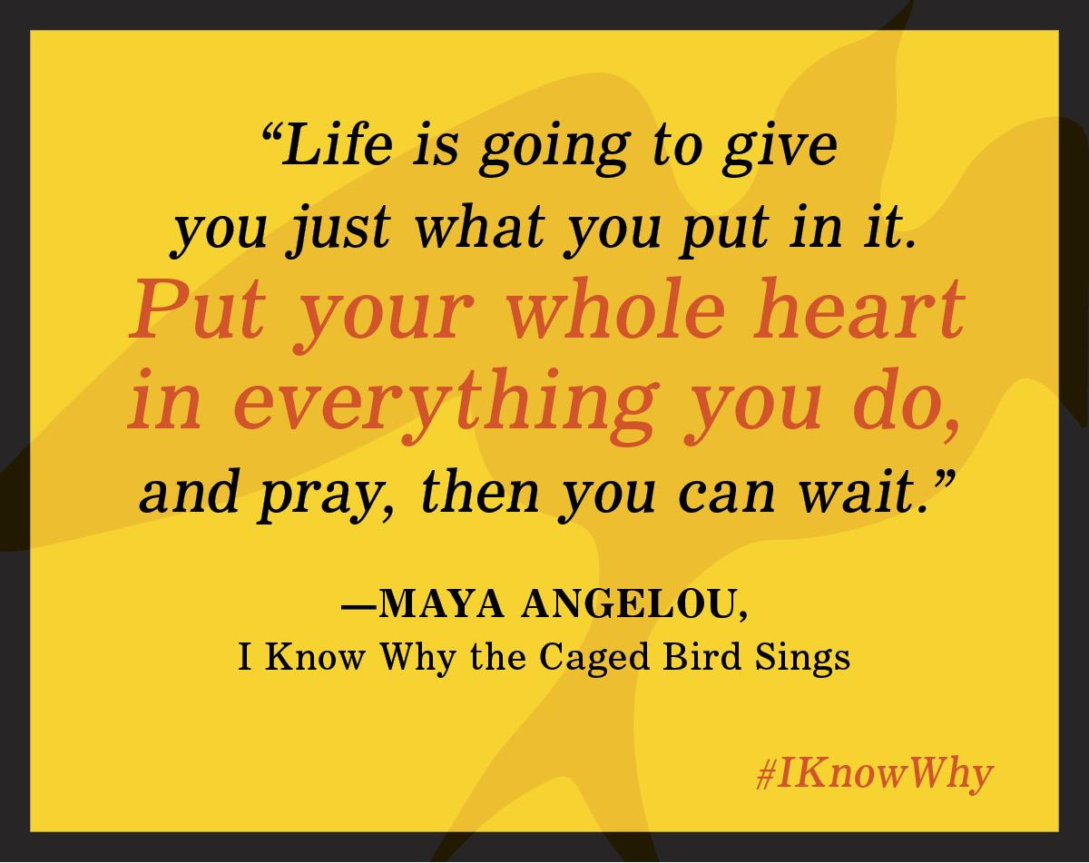 a summary of the story of i know why the caged bird sings by maya angelou The paperback of the i know why the caged bird sings by maya overview maya angelou's debut memoir is a modern american classic. a summary of the story of i know why the caged bird sings by maya angelou The paperback of the i know why the caged bird sings by maya overview maya angelou's debut memoir is a modern american classic.