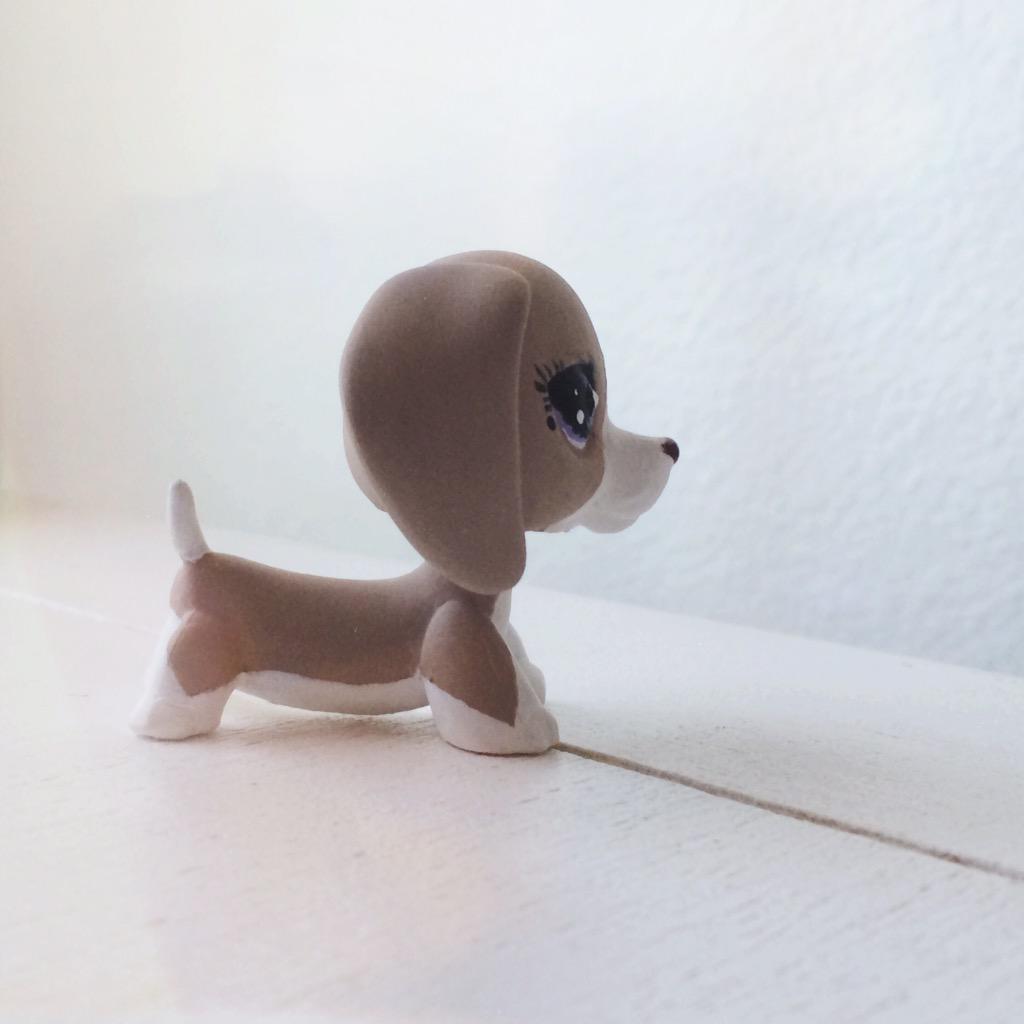 Lulusvideos220's tweet photo. Did this custom dachshund a few days ago http://t.co/BlVdB68ZIM