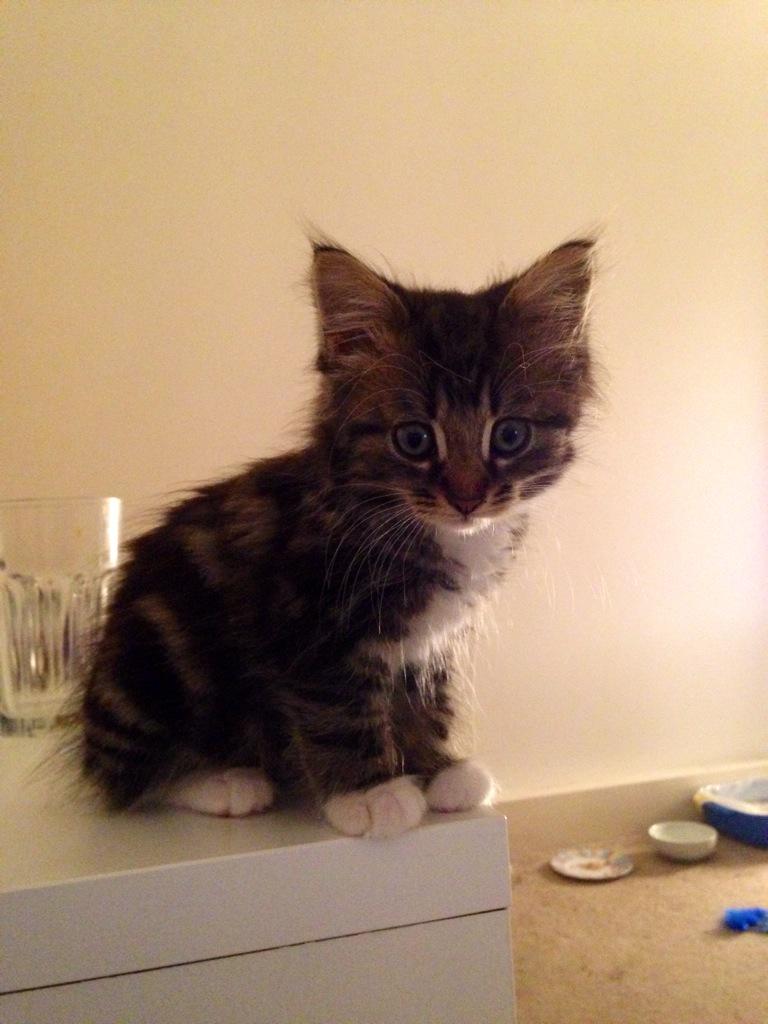 Rachel Reay tweet media