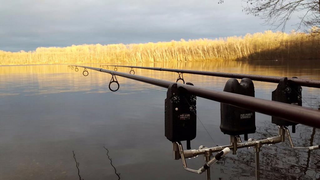 CarpUnitGermany's tweet image. Live from the see.. Our two Teammates are hopefull for the Night..We wish Tight Lines 
#carpunitgermany #carpfishing