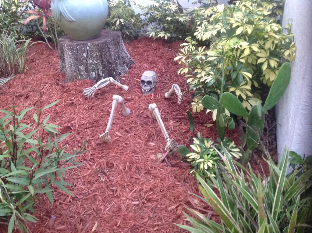 oledigger's tweet image. 