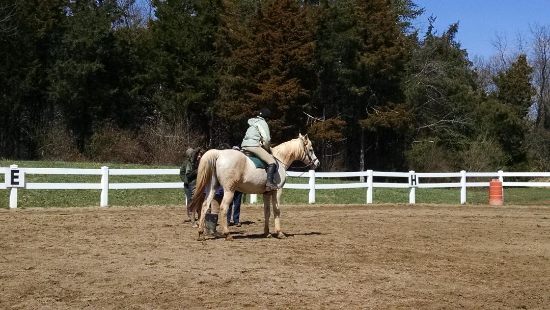 LewisColleen31's tweet photo. Amazing Day! @HoofbeatsTRC http://t.co/fGuPd7KAn5
