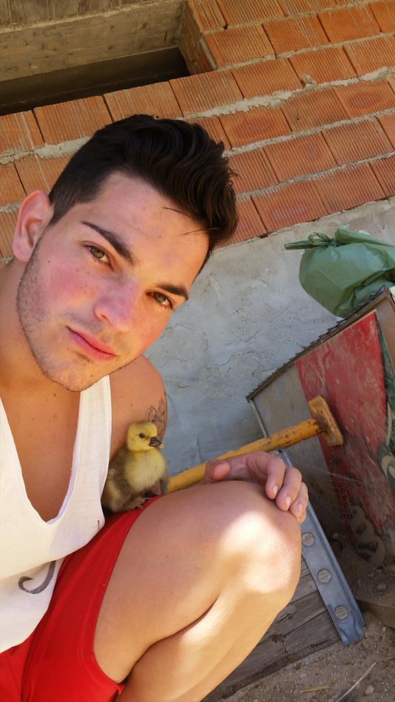 rubenroaruben1's tweet photo. El patito feo 😍 😍 http://t.co/WjdEDFeyx9