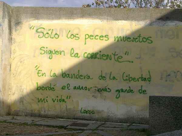 subversivos_'s tweet photo. Ahí esta el aliento de esperanza, nadar contracorriente... 
 http://t.co/pb0L5JDW29