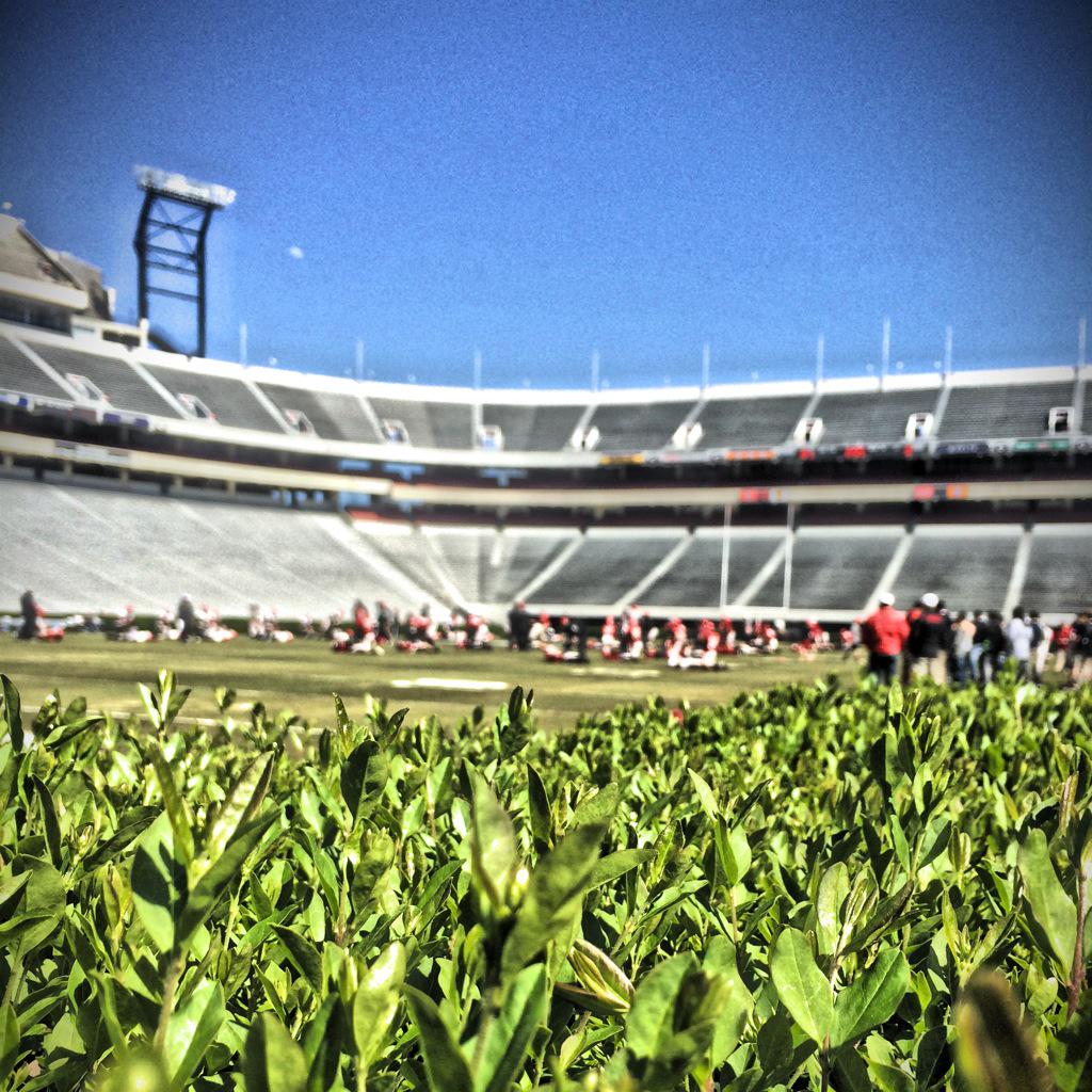 GeorgiaFootball tweet picture