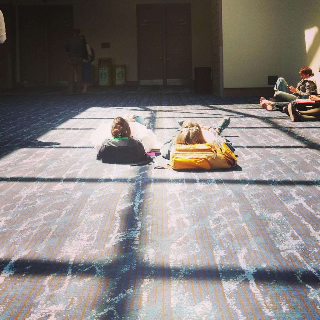 iamdavidbowles's tweet photo. One solution to conference fatigue. #NAEA15 #learnfromcats http://t.co/FvtkhwKBdz