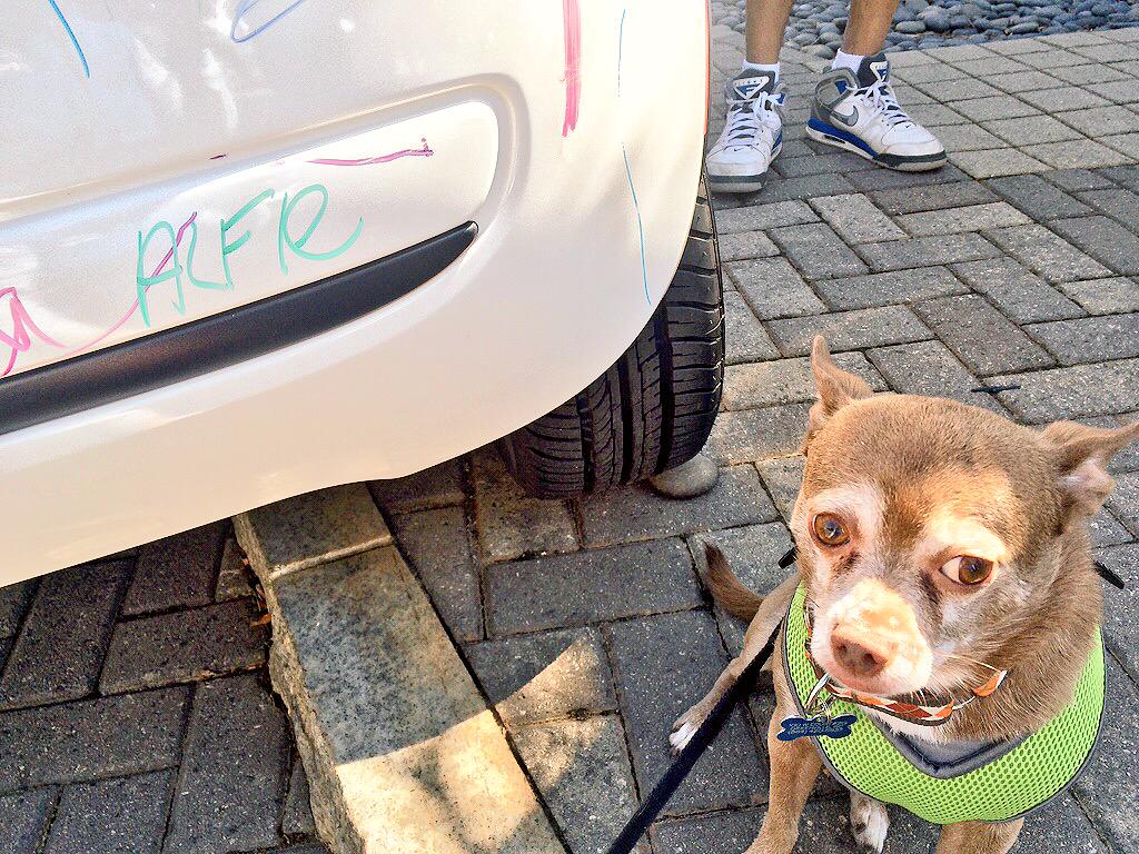 AlfieTheBold's tweet photo. I got to draw on #fiat500 @CU_ICAR Millenium Drive International Car Cruise &amp; Festival. @fiatontheweb @FIATUSA #md15 http://t.co/Pgrt1k41yL