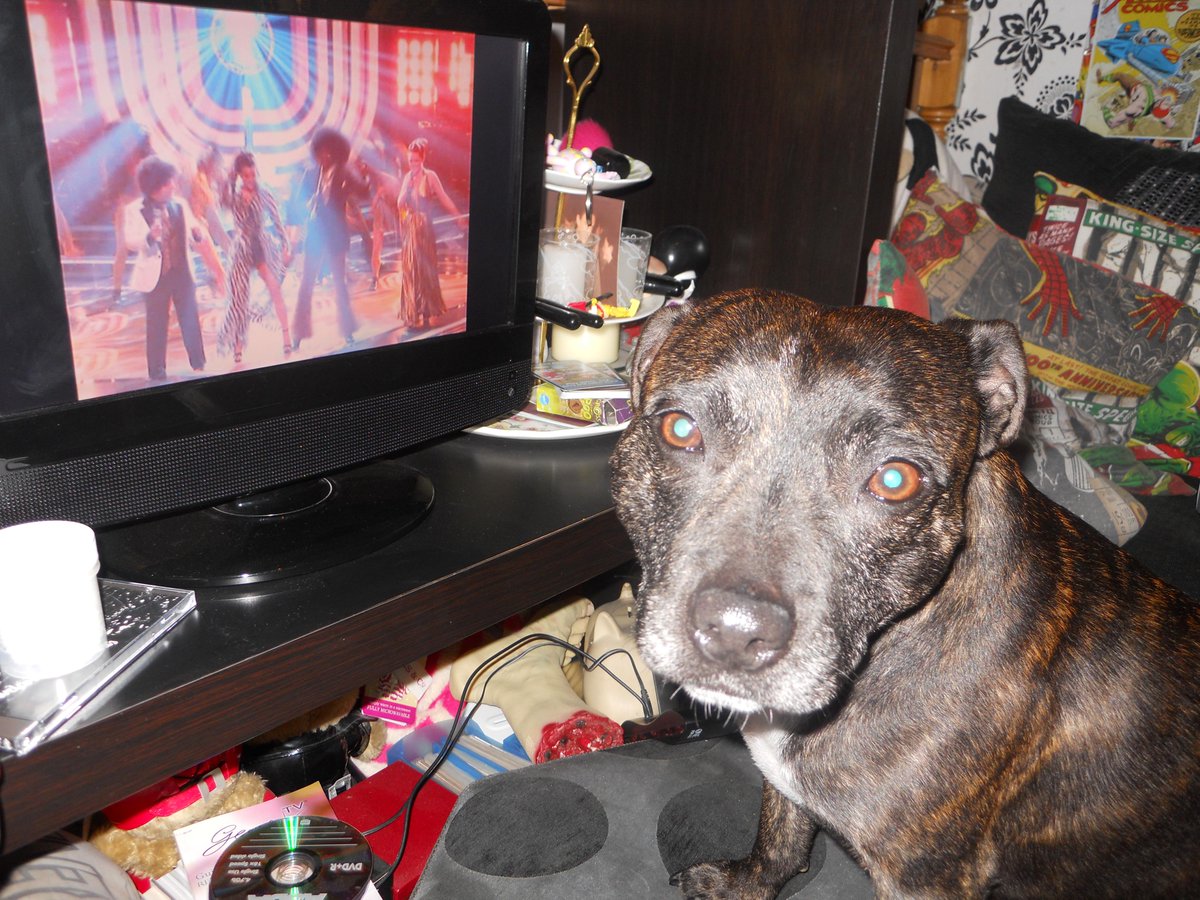 The Parents tweet media