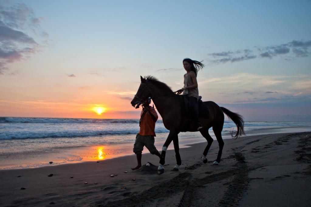 ToursLine's tweet image. Horse riding in Bali - Only 56 USD, Don`t Miss :)
tours-line.com/#!horse-riding…