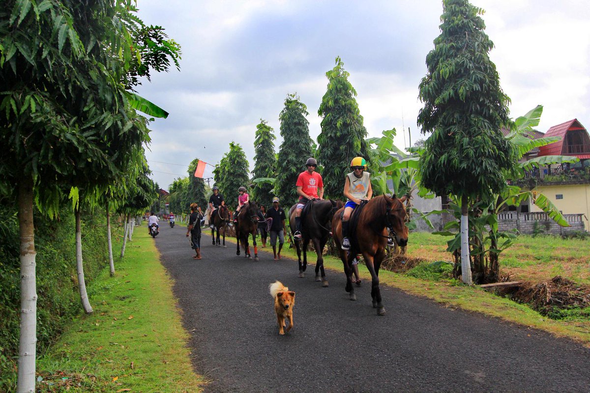 ToursLine's tweet image. Horse riding in Bali - Only 56 USD, Don`t Miss :)
tours-line.com/#!horse-riding…