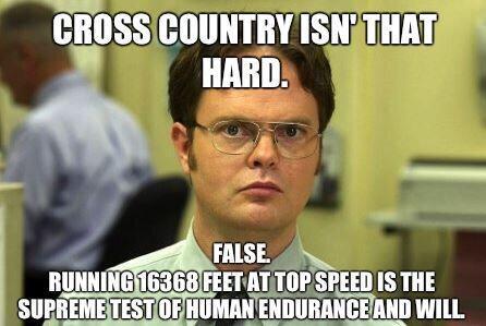 sburns0107's tweet photo. “@allybee76: “@TeamRunner4Life: Does this make you miss xc or what? http://t.co/NxGGfsXi32” @sburns0107”