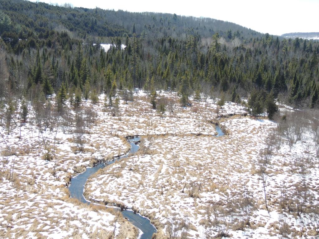 Taurro's tweet image. Kawartha Lakes rail trail #omemee