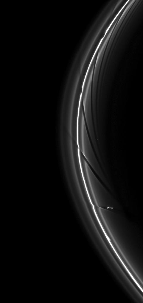 SPACEPlCTURES's tweet photo. Saturn's moon Prometheus creates streamers in the rings of Saturn as it moves through. #space http://t.co/pShwyNkwDs