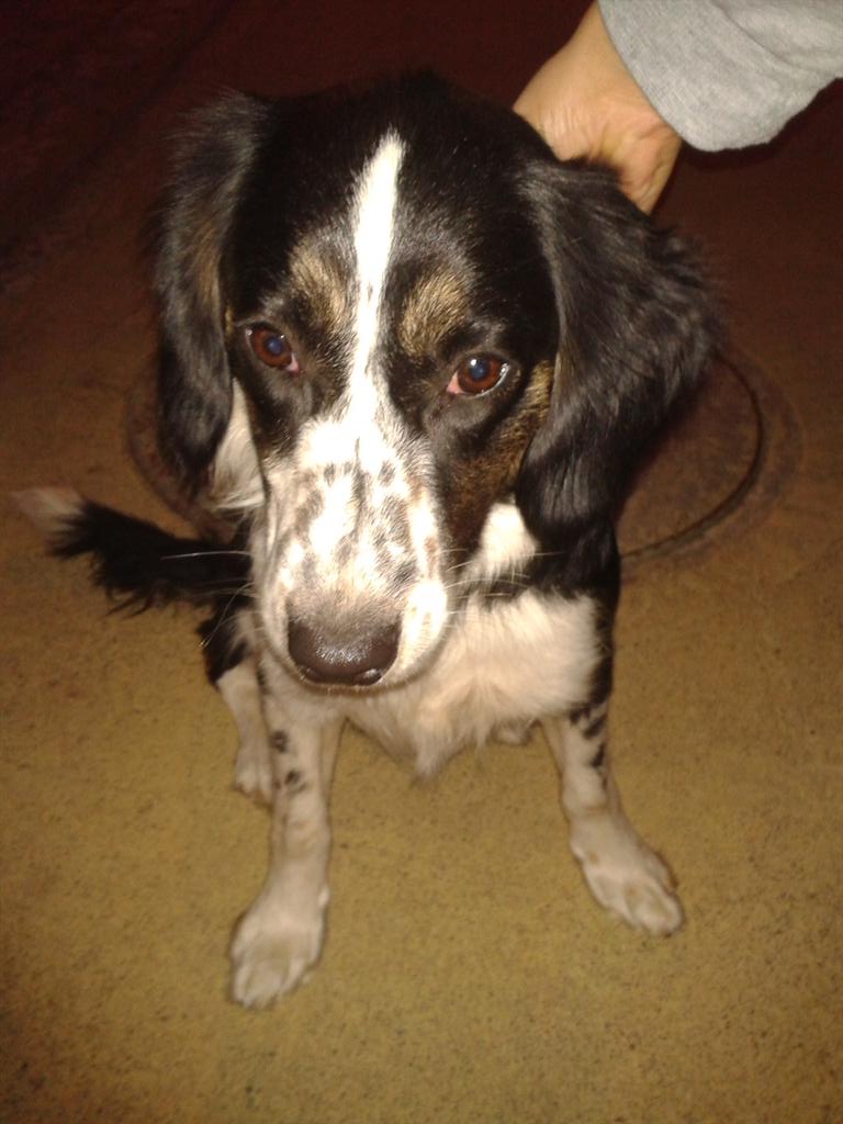 Caro⁷💜 tweet media