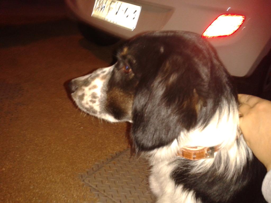 Caro⁷💜 tweet media