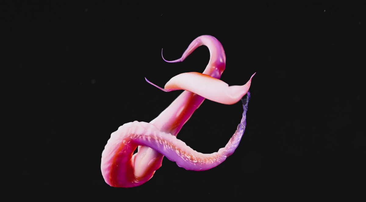 AndreaSerati's tweet photo. Hypnotic animal typographic experiment in motion #typography #motion HT @ariweinkle https://t.co/7q5QfOOFTr http://t.co/qSB46ETsos