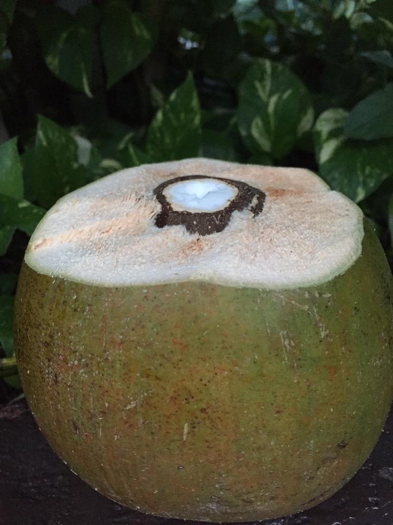 Iridologo1's tweet photo. Agua de Coco para hidratar y recuperar electrolitos en Retiro #Tulum #sololiquidos. http://t.co/ijV9IKz6OX
