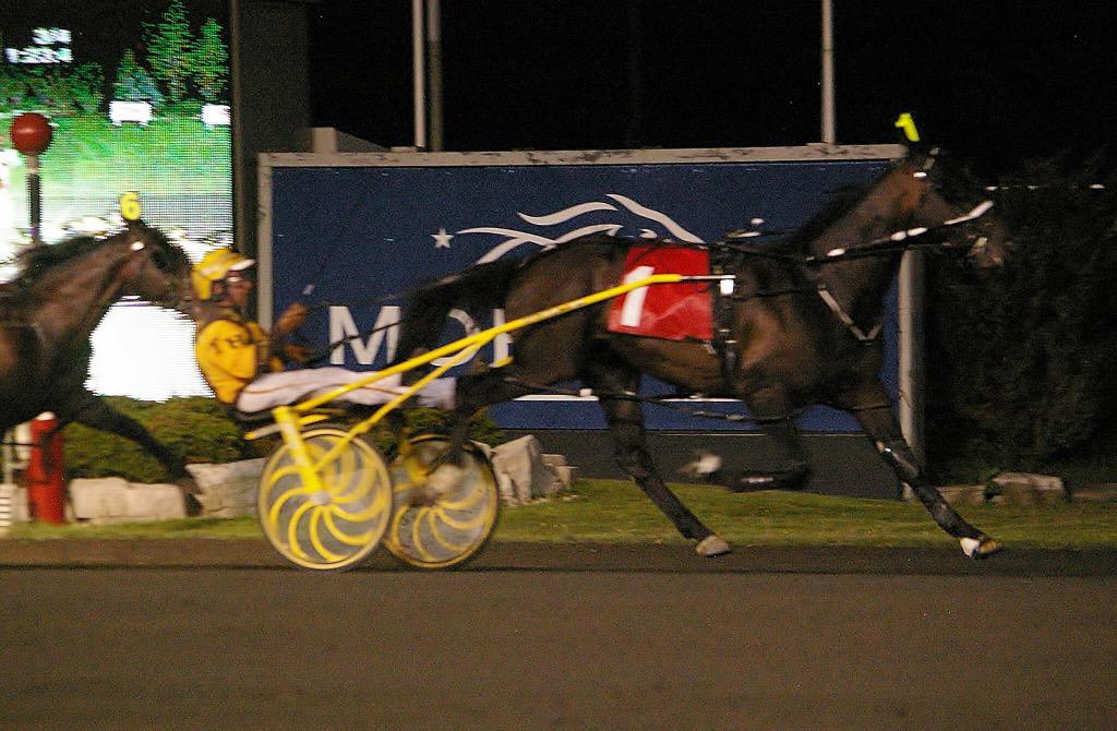 CalgarySeelster Race7 <a href="/WoodbineRacing/">WoodbineRacing</a> 2 start back #tighter#stronger#stretched out <a href="/betcdn/">Bet Canadian</a>