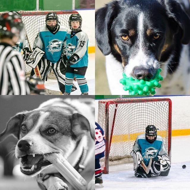 Daverig's tweet image. Some test pics with the #70-200 #lenstest #nikon bit.ly/19u3iEi