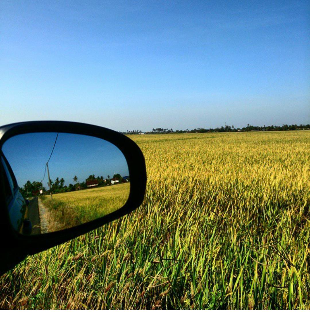 Kedah Aman Makmur On Twitter Noorabdulra Tambah Unsur Edit Sikit Hehe Tapi Tenang Ja Rasa Bila Masuk Kampung Tgk Pmandangan Lagu Ni