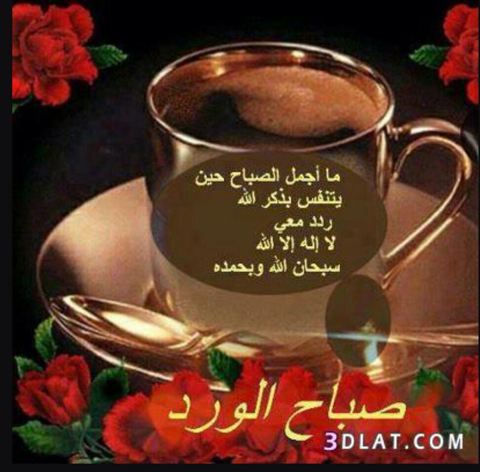 AlPeres69's tweet photo. @HanaeMaroc15 http://t.co/LACZp2Oeu4