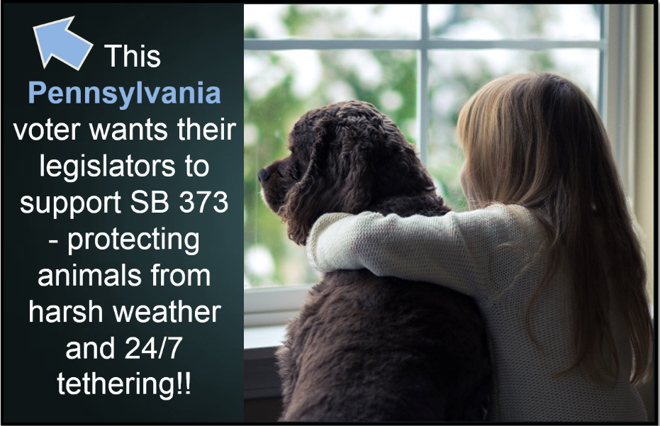 HumanePA's tweet photo. #PA animal lovers - this freezing cold is a reminder to ask your #PASenator to pass SB373! http://t.co/IgfBoJCVlA