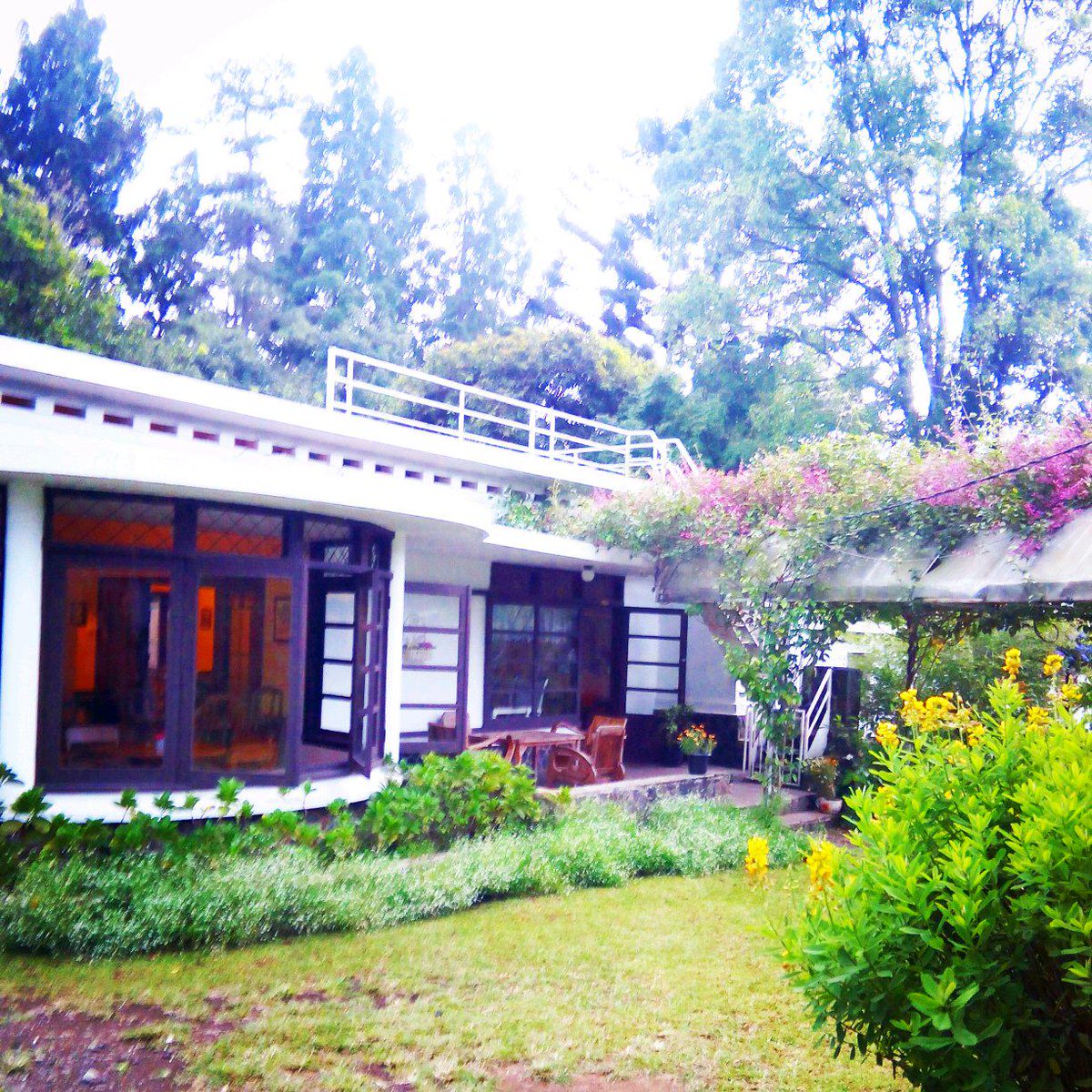 secrtGARDENcafe's tweet photo. Feels like home, good morning people :)) http://t.co/PxI7j5qYpJ
