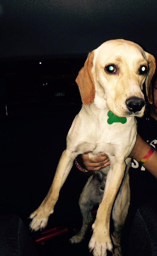 Pierreangely parra 🌳 tweet media