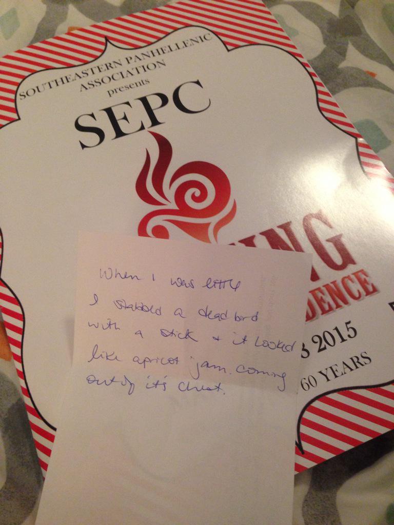 laurenne's tweet photo. My fave secret from the #SEPC60 #SEPC conference. Thanks everybody for coming to my talk and being #vulnerable! http://t.co/WD9DgYI7pd