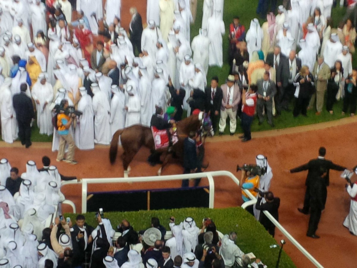 mariobodini's tweet photo. An amazing day at the dubai world cup. Hugs event and prize money. Dubi does know how to put on a great show. http://t.co/1rZ10hblP4