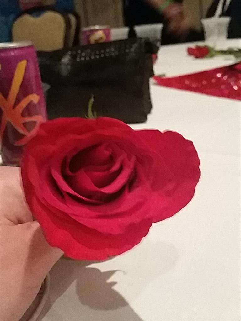 LexxiZee's tweet photo. A rose by any other name would smell as sweet. #sse4stp #sse4vision #diamondheights http://t.co/kTEgUdR0eq