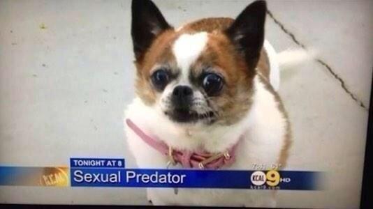 HydraVisuals's tweet photo. It's always the ones you least expect http://t.co/vJBC8lebOz