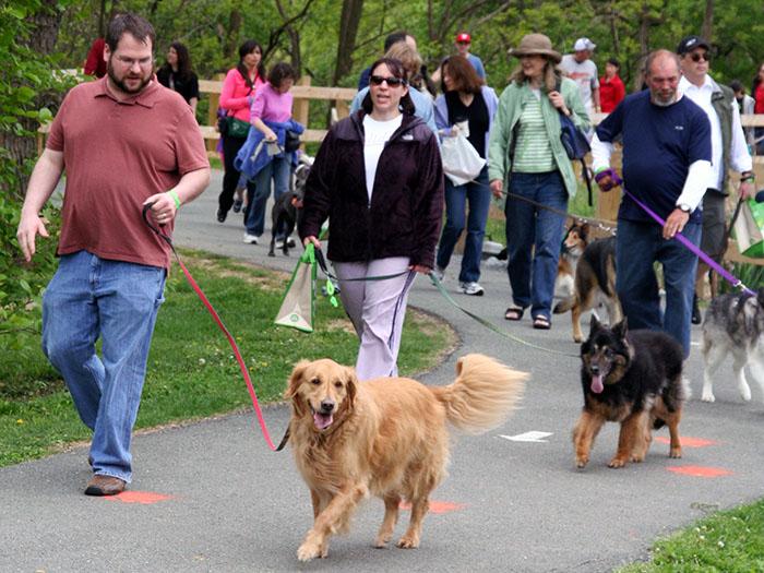 Rover_Roger's tweet photo. 16th Annual Paws in the Park dog walk and festival. Gaithersburg, MD, Sunday, April 26th, 12:00 pm to 4:00 pm http://t.co/gSK82wHJBT