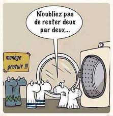 nichkaie's tweet photo. "@clairvoyant2013: #chaussettesdisparues ça reste un mystère pour moi... http://t.co/g3x4TfOUvz"