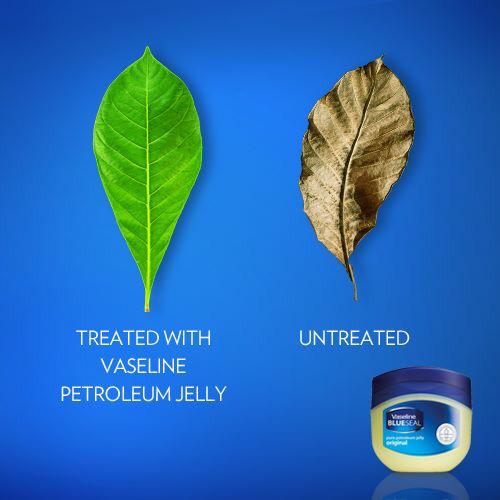 I know too many people who are the brown leaf 😢 @nosinyembezi @zintlemente <a href="/lndevu/">Lizeka Ndevu</a>