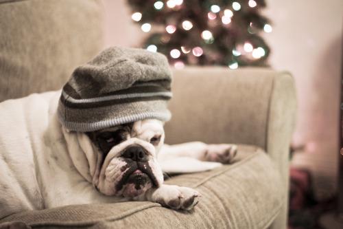 Tumblr Accounts You Should Follow Now liefact.com/?p=3678