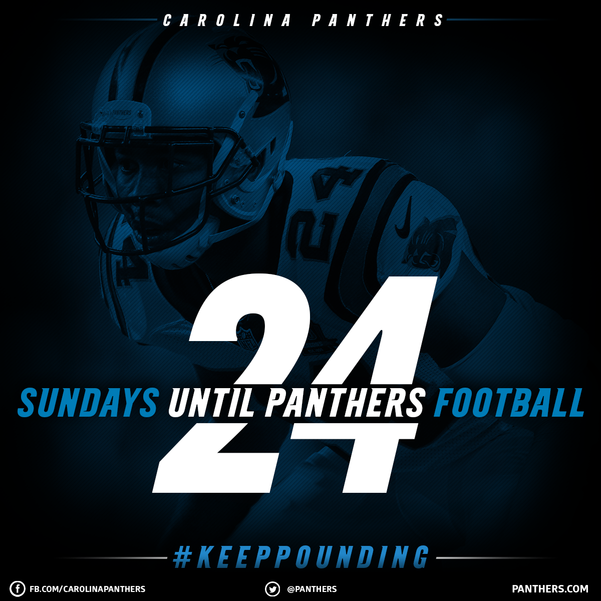 Panthers tweet picture