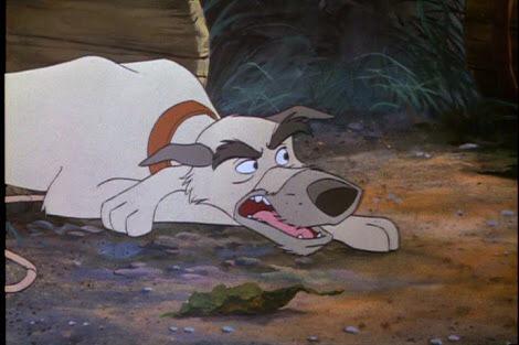 GrumpyGrey_Dog's tweet image. #OfflineForSleep