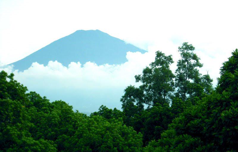 HotelMutiara's tweet photo. http://t.co/GAQQ1ngtmT