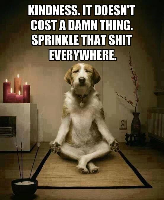 Littleredyogi's tweet photo. Happy Sunday! Here is my latest blog post - Enjoy and don't forget to smile :-) https://t.co/e0aHlO62YM #yoga #bekind http://t.co/RQAug3FC8v