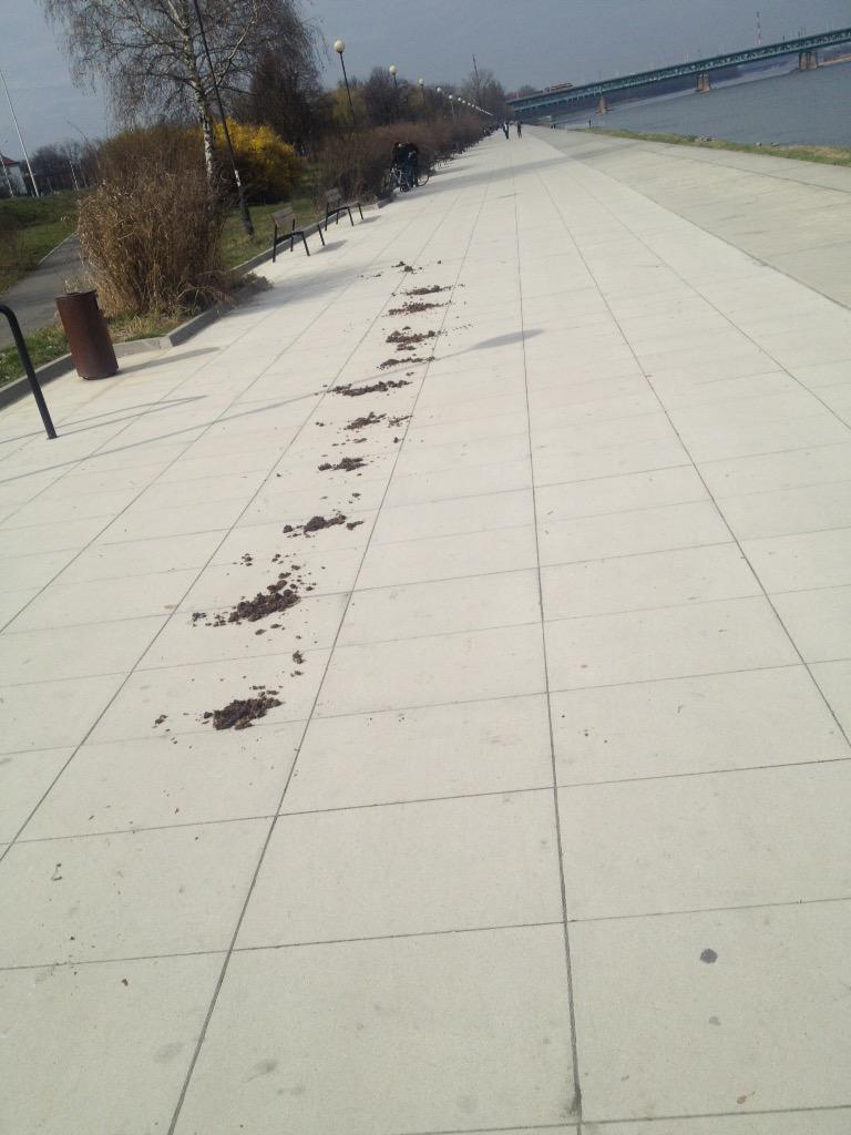 MZiomecki's tweet photo. Konna policja pilnuje, by przestępcy nie pili piwa na bulwarze Wisły. Your tax zlotys at work! http://t.co/FNlCez3ovd