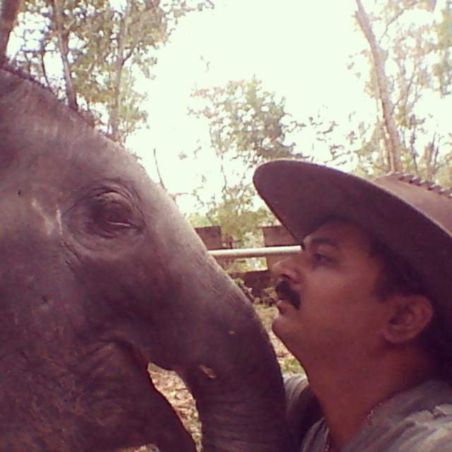 Trunk_Call's tweet photo. @Trunk_Call Founder Anand Shinde communicating with elephant at elephant centre http://t.co/1sL7QMMM6a