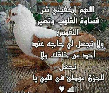 RaniaMgiad's tweet photo. http://t.co/V5LwSpEeG7
