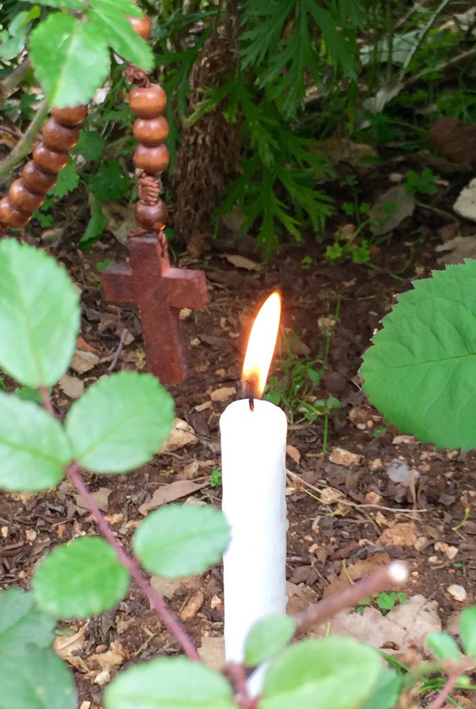 انت نور الحياة...
شعنينة مباركة