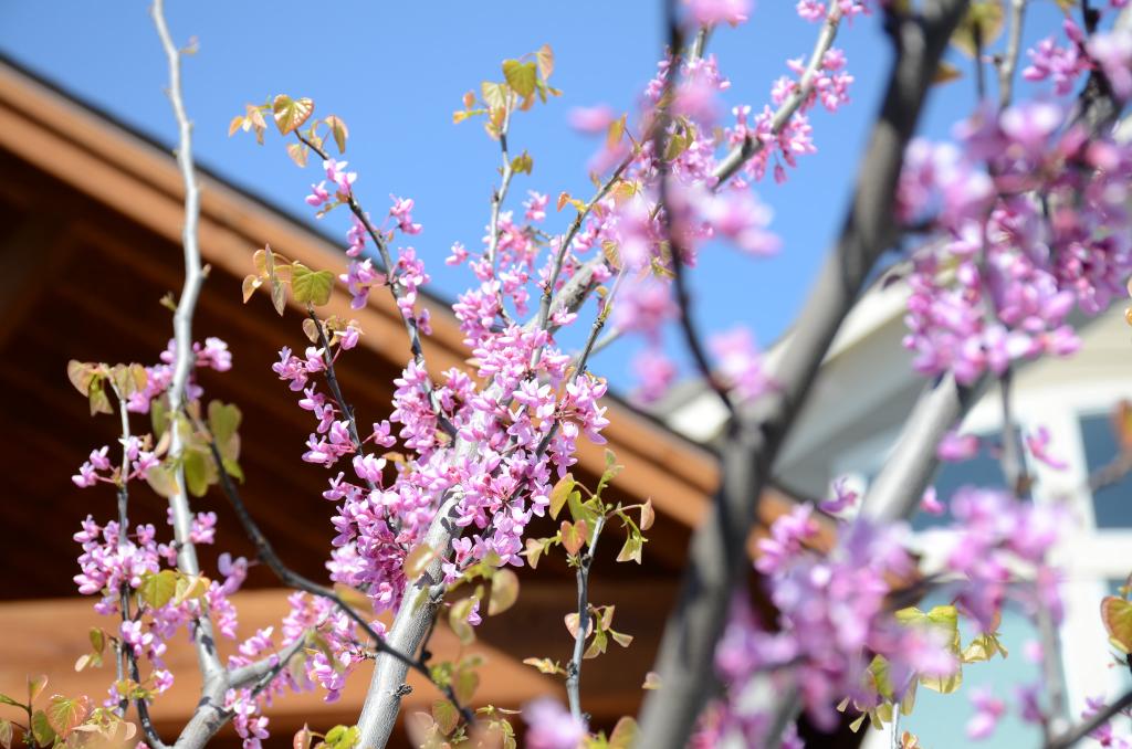 dubdeeme's tweet image. #CNNSpring