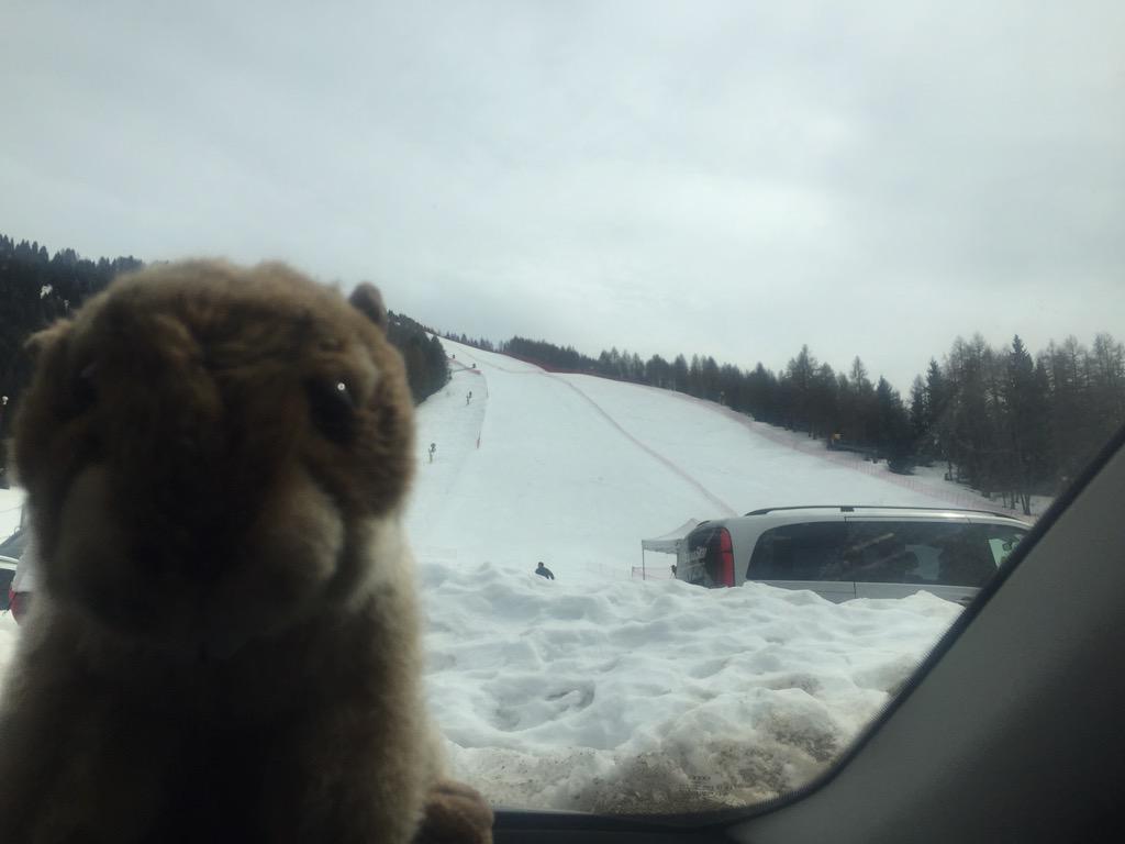GingerMarmott's tweet photo. That's it from @CSDST for this season. Thanks to everyone for the support #gingerprince #loveginger #marmotsrule http://t.co/5dcTNvGkgX