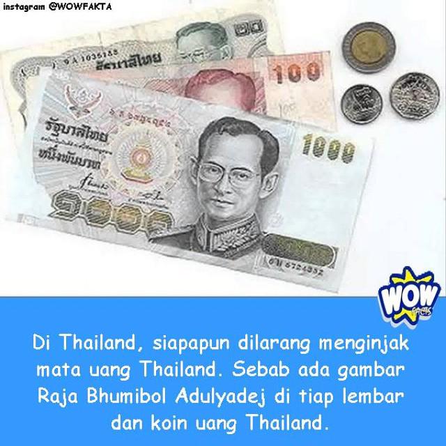 ImSyafri's tweet image. now on instagram #tahukahanda #wowfakta #fakta #faktanya #wow