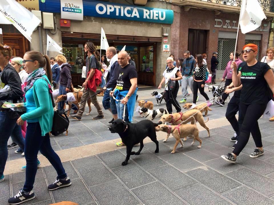 PartidoPACMA's tweet photo. Manifestación ayer en Tenerife por una nueva ley de protección animal Canaria. Los animales nos siguen necesitando. http://t.co/fHf31URFb8