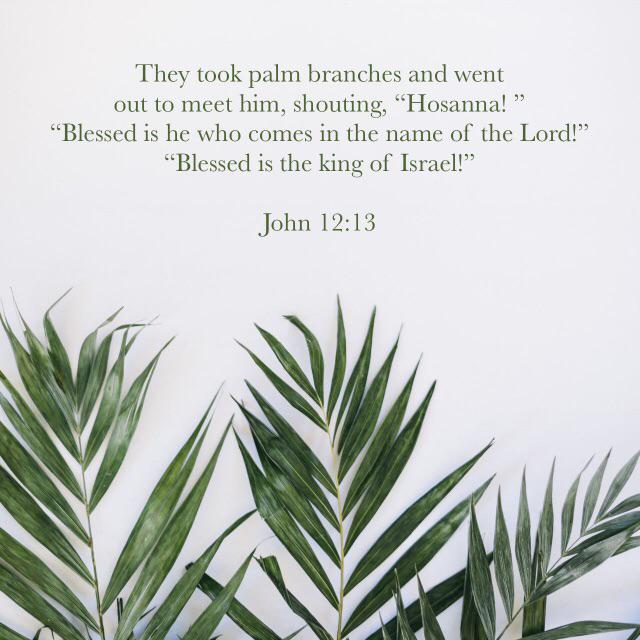 YouVersion's tweet photo. They took palm branches and went out to meet him, shouting, “Hosanna!”
https://t.co/3VJzuZXtEM http://t.co/napyy2Rq49